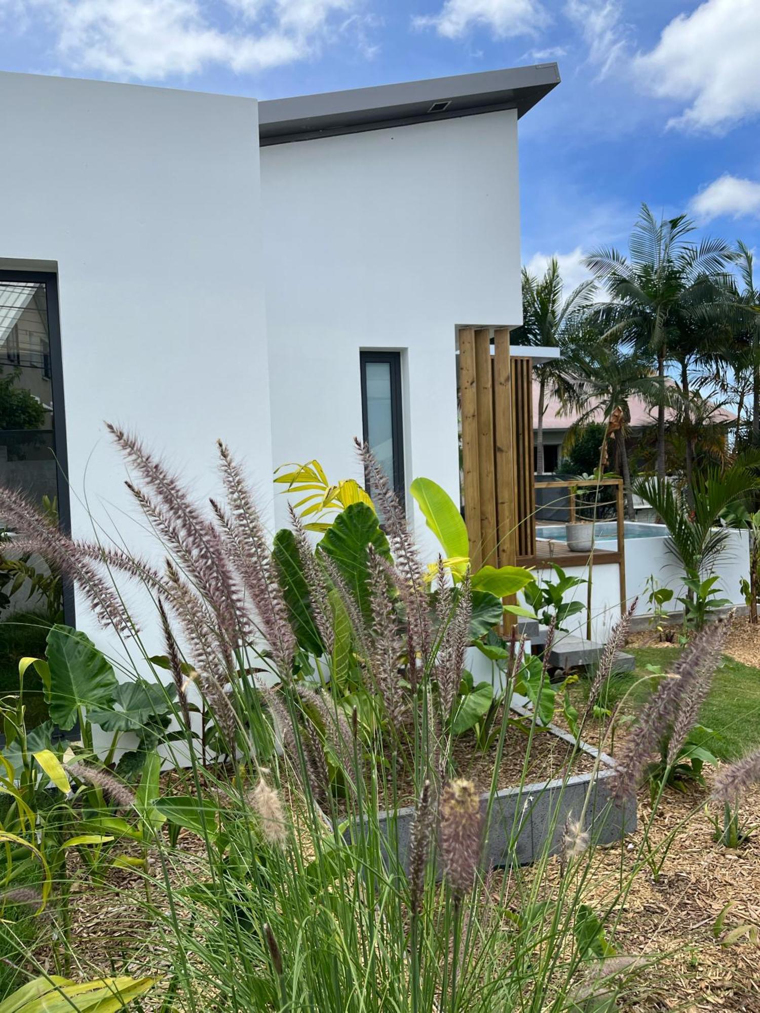 L'Empreinte-Oasis De Serenite Au Coeur D'Un Jardin Tropical Le Tampon Zewnętrze zdjęcie